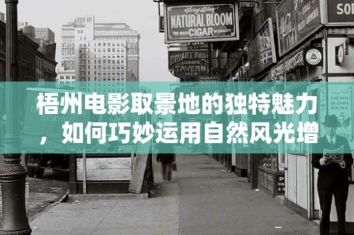 梧州电影取景地的独特魅力，如何巧妙运用自然风光增强影片情感深度？