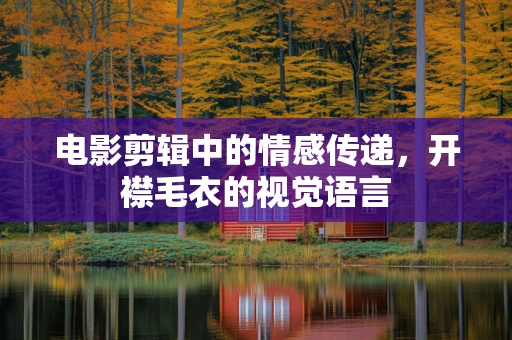 电影剪辑中的情感传递，开襟毛衣的视觉语言