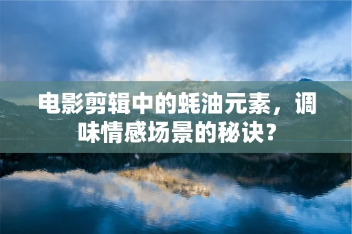 电影剪辑中的蚝油元素，调味情感场景的秘诀？