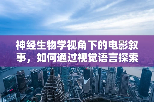 神经生物学视角下的电影叙事，如何通过视觉语言探索大脑的奥秘？