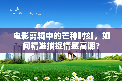 电影剪辑中的芒种时刻，如何精准捕捉情感高潮？