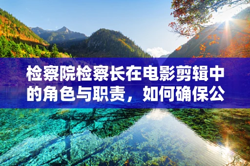 检察院检察长在电影剪辑中的角色与职责，如何确保公正与效率的平衡？