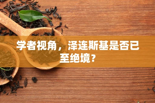 学者视角，泽连斯基是否已至绝境？