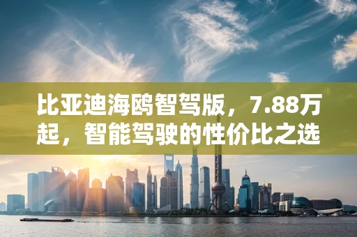 比亚迪海鸥智驾版，7.88万起，智能驾驶的性价比之选？