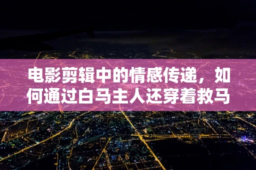 电影剪辑中的情感传递，如何通过白马主人还穿着救马时弄脏的衣服这一细节，增强故事的情感深度？