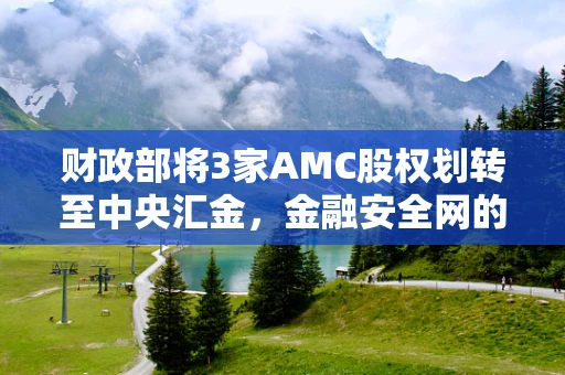 财政部将3家AMC股权划转至中央汇金，金融安全网的新布局？