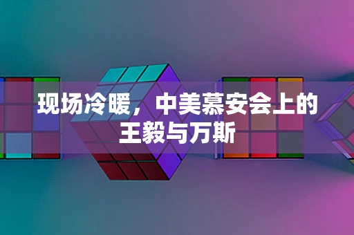 现场冷暖，中美慕安会上的王毅与万斯