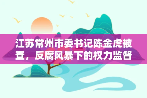 江苏常州市委书记陈金虎被查，反腐风暴下的权力监督与治理