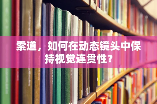 索道，如何在动态镜头中保持视觉连贯性？