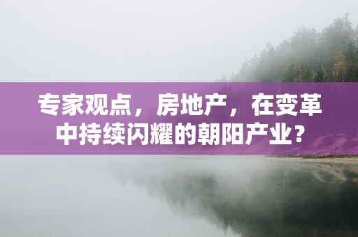 专家观点，房地产，在变革中持续闪耀的朝阳产业？