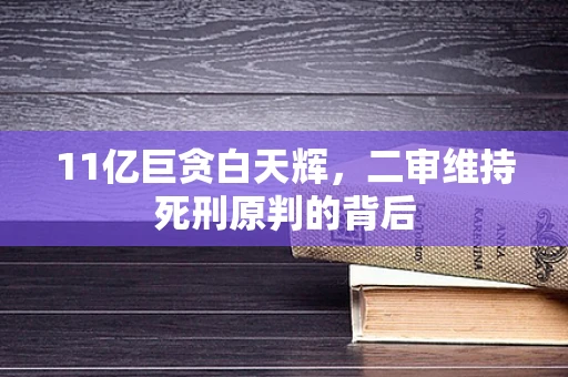 11亿巨贪白天辉，二审维持死刑原判的背后