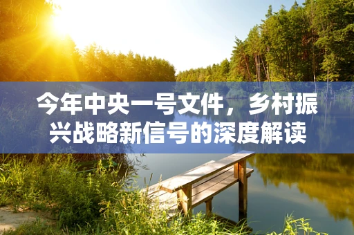 今年中央一号文件，乡村振兴战略新信号的深度解读