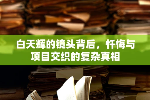 白天辉的镜头背后，忏悔与项目交织的复杂真相