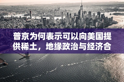 普京为何表示可以向美国提供稀土，地缘政治与经济合作的微妙平衡