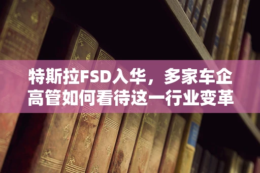 特斯拉FSD入华，多家车企高管如何看待这一行业变革？