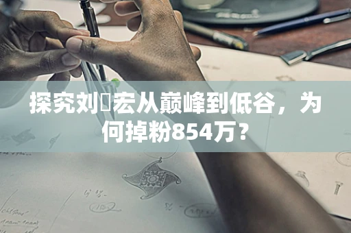 探究刘畊宏从巅峰到低谷，为何掉粉854万？