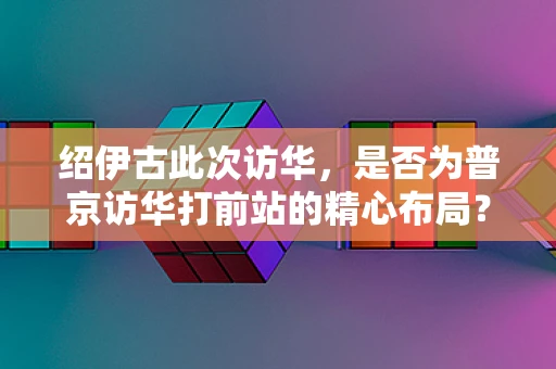 绍伊古此次访华，是否为普京访华打前站的精心布局？