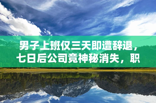 男子上班仅三天即遭辞退，七日后公司竟神秘消失，职场迷雾中的个人与企业的命运交织