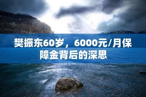 樊振东60岁，6000元/月保障金背后的深思