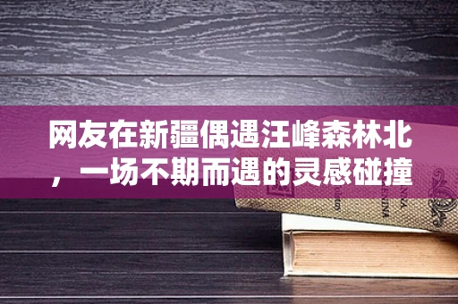 网友在新疆偶遇汪峰森林北，一场不期而遇的灵感碰撞