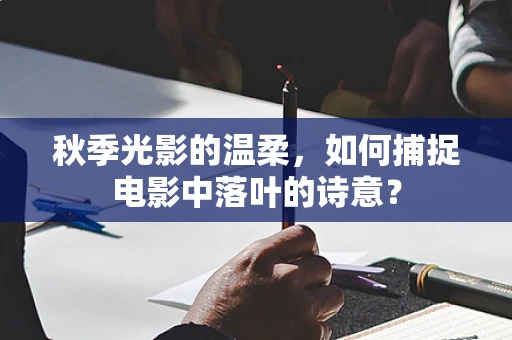 秋季光影的温柔，如何捕捉电影中落叶的诗意？