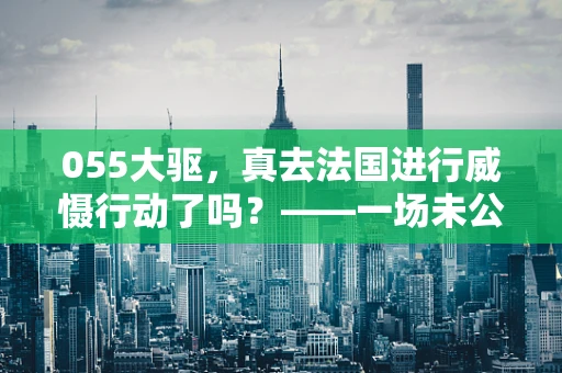 055大驱，真去法国进行威慑行动了吗？——一场未公开的蓝海对话