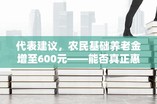 代表建议，农民基础养老金增至600元——能否真正惠及农村老年群体？