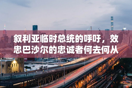 叙利亚临时总统的呼吁，效忠巴沙尔的忠诚者何去何从？