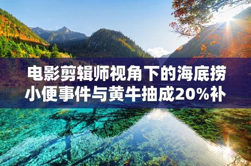 电影剪辑师视角下的海底捞小便事件与黄牛抽成20%补偿的背后