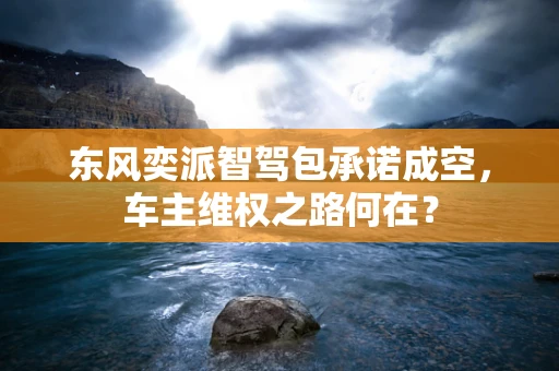 东风奕派智驾包承诺成空，车主维权之路何在？