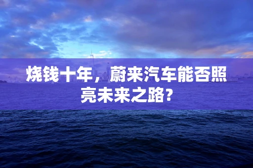 烧钱十年，蔚来汽车能否照亮未来之路？