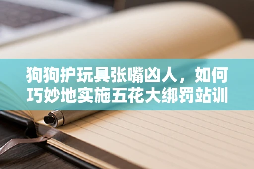 狗狗护玩具张嘴凶人，如何巧妙地实施五花大绑罚站训练？