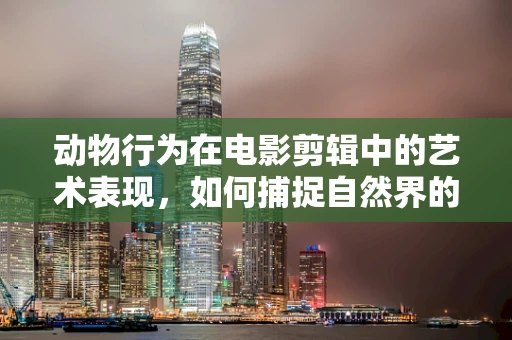 动物行为在电影剪辑中的艺术表现，如何捕捉自然界的无声语言？