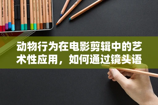 动物行为在电影剪辑中的艺术性应用，如何通过镜头语言展现动物的情感世界？